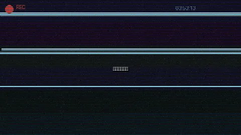 周末随拍记录 - 小宝的视频集 原创视频